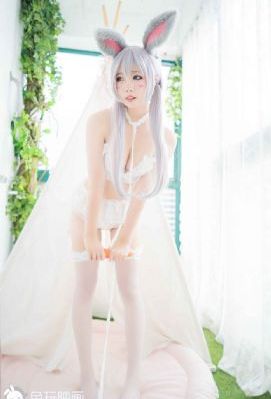 野花视频在线观看视频_蓝光免费观看超清